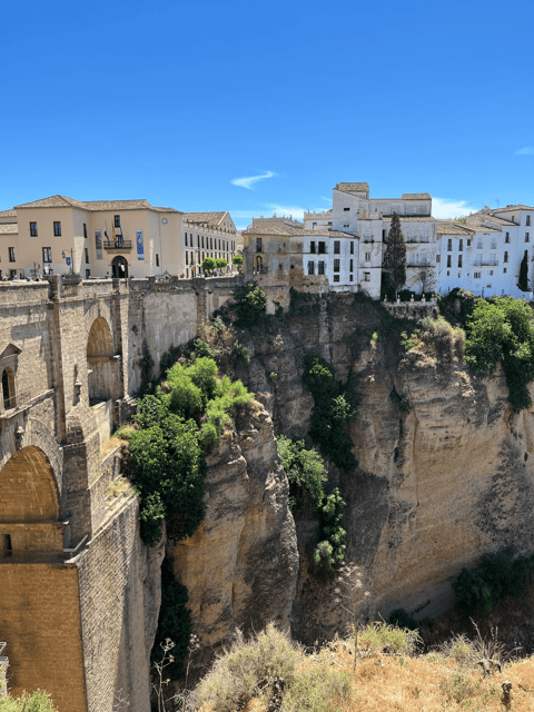 From Malaga: Ronda and Setenil de las Bodegas Day Trip - Key points to know before booking