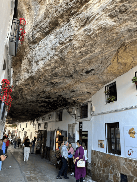 From Malaga: Ronda and Setenil de las Bodegas Day Trip - Who will enjoy this outing most?