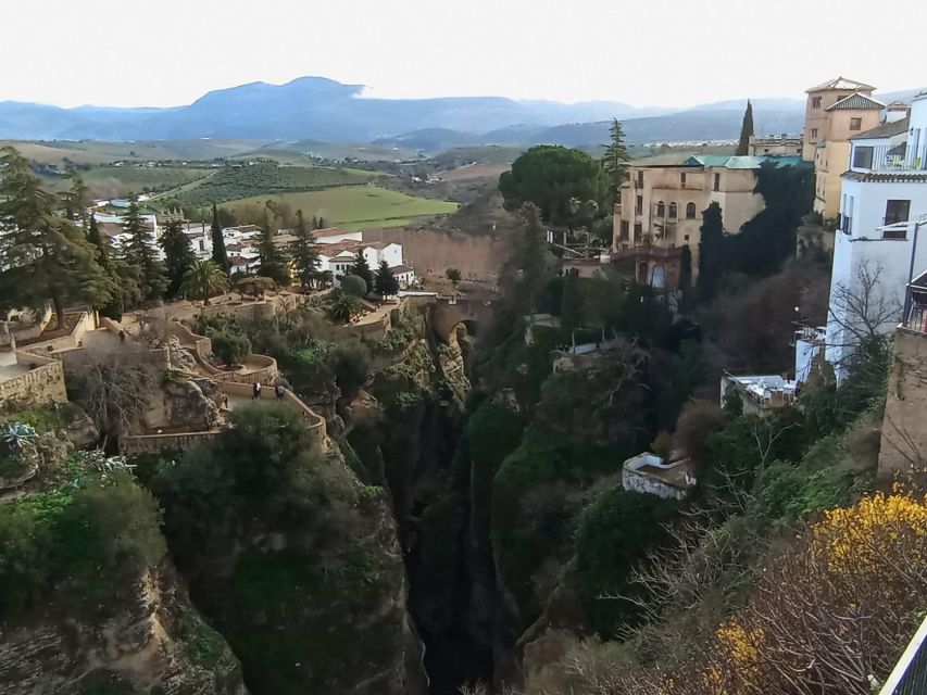 From Málaga: Ronda+Setenil de las Bodegas with Little Train - Food, free time, and what to budget