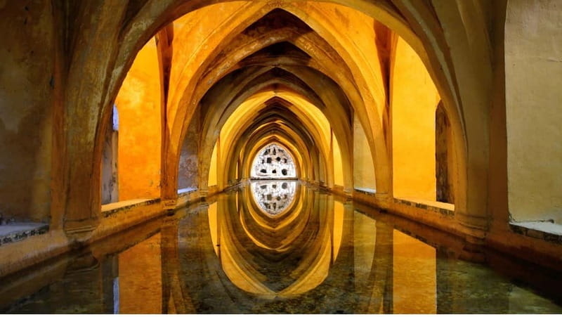 From Malaga: Seville Day Trip with Real Alcázar Tickets - What kind of visitor will enjoy this tour?