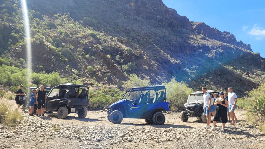 From Maspalomas: Volcanic Landscapes 4-Seater Buggy Tour - What the $177 price means