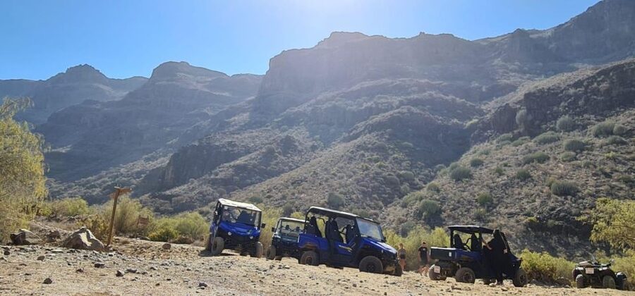 From Maspalomas: Volcanic Landscapes 4-Seater Buggy Tour - Who will enjoy it most