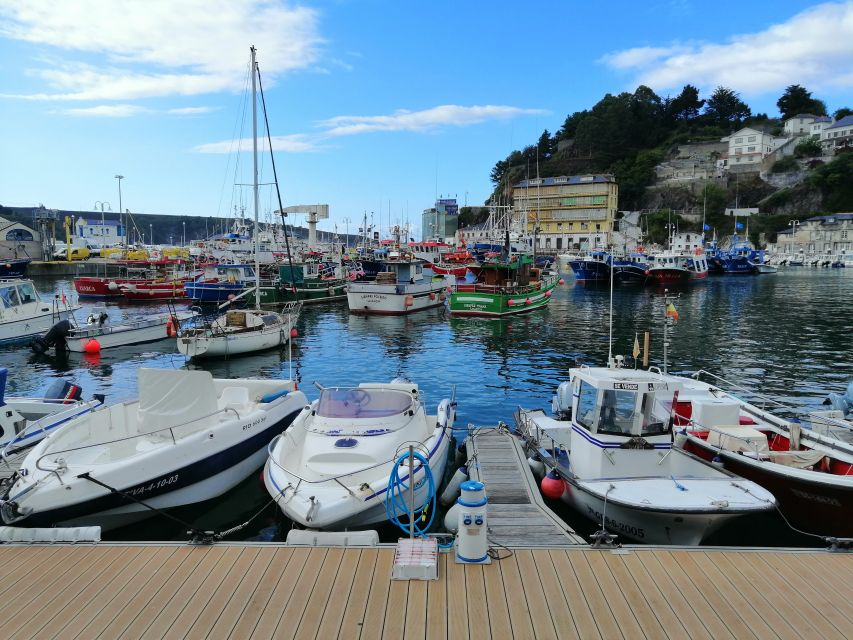 From Oviedo: Luarca, Cudillero and Avilés Day Trip - Who should book this experience?
