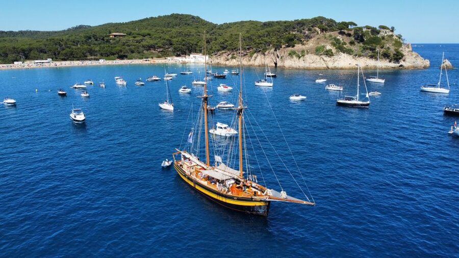 From Palamos: Scenic Boat Trip to Calella de Palafrugell - Stories of pirates, geology, and marine life