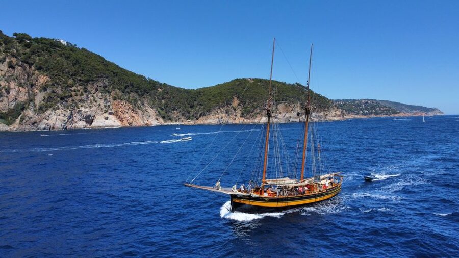 From Palamos: Scenic Boat Trip to Calella de Palafrugell - Practical advice for a smoother afternoon