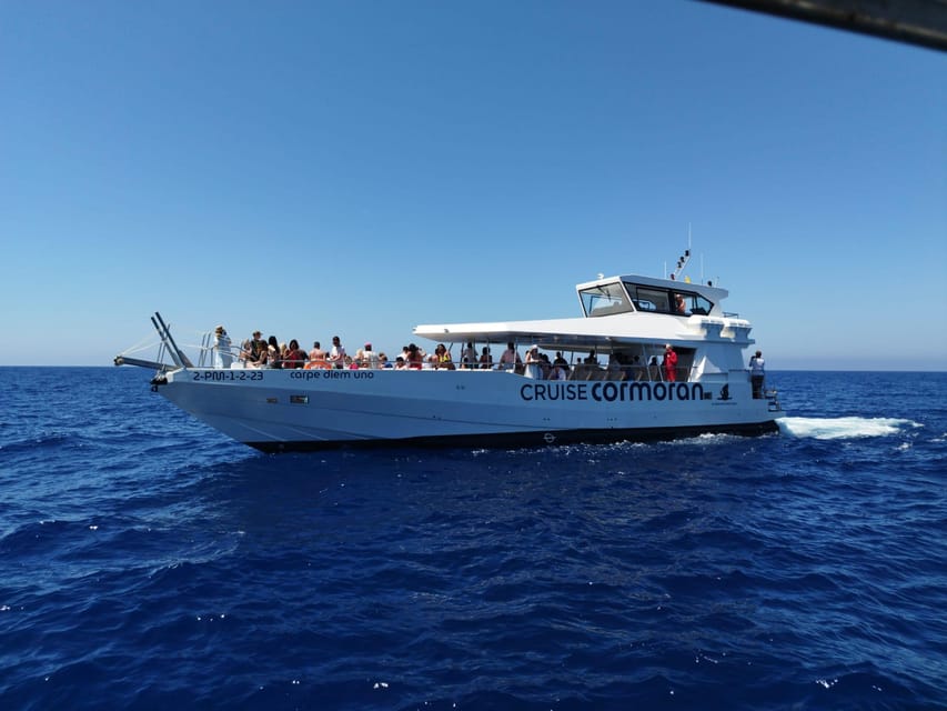 From Palma: 3-Hour Morning Dolphin Watching Boat Tour - Key points to know before booking