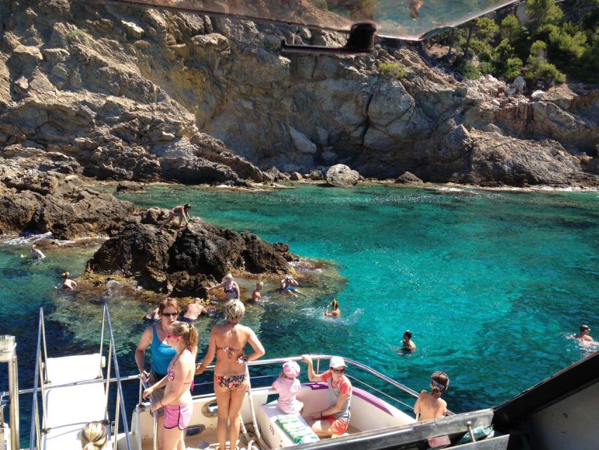 From Palma: 3-Hour Morning Dolphin Watching Boat Tour - Setting out from Palma at 10:30