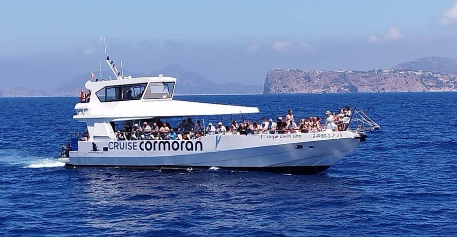 From Palma: Afternoon Dolphin-Watching Boat Tour - Key points to know before you book