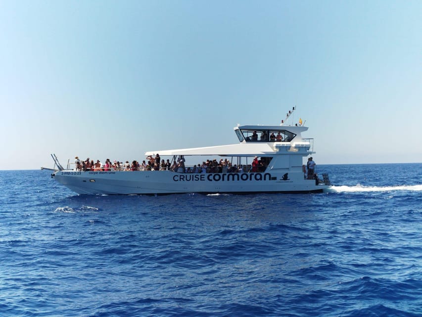 From Palma: Afternoon Dolphin-Watching Boat Tour - Leaving Palma for the open sea