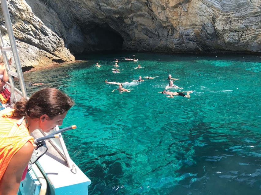 From Palma: Afternoon Dolphin-Watching Boat Tour - Searching for dolphins in natural water