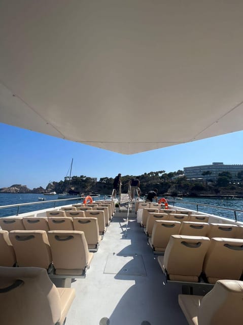 From Palma: Afternoon Dolphin-Watching Boat Tour - Along El Toro, Port Adriano, and the Malgrat Islands