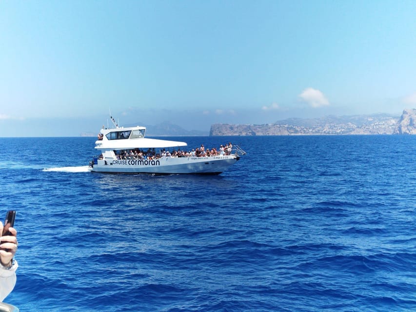 From Palma: Afternoon Dolphin-Watching Boat Tour - Timing, transfers, and the Santa Ponsa finish