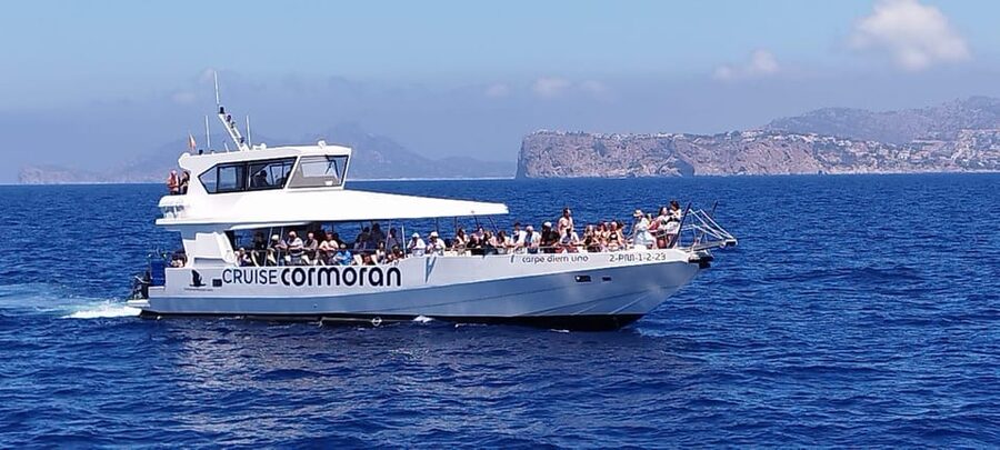From Palma: Afternoon Dolphin-Watching Boat Tour - What the speedboat ride feels like