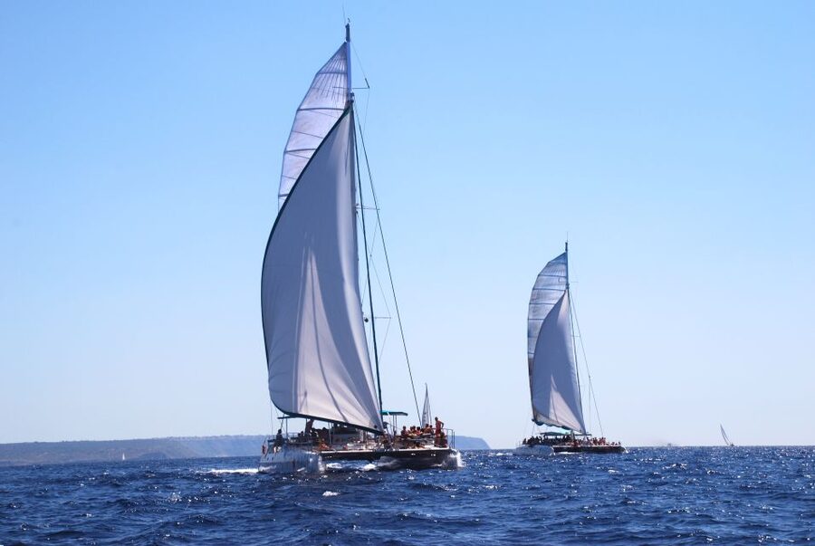 From Palma de Mallorca: Boat Cruise to Illetes - Key points to know before booking