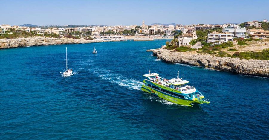 From Porto Cristo: East Coast Glass-Bottom Boat Trip - What the Glass Bottom Really Offers