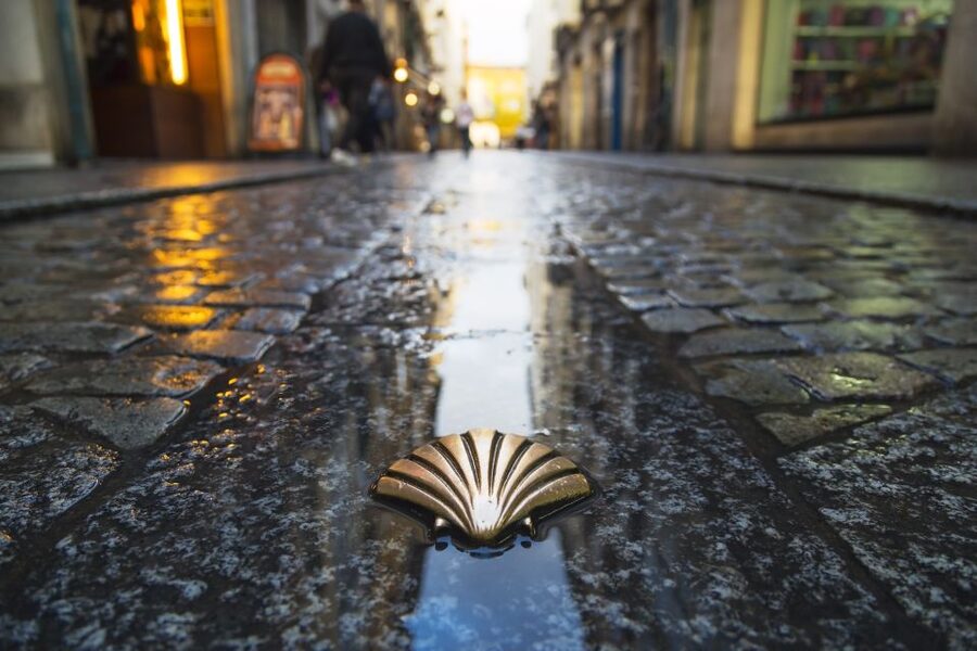 From Porto: Santiago de Compostela Full Day Tour - Why Santiago de Compostela makes a powerful day trip