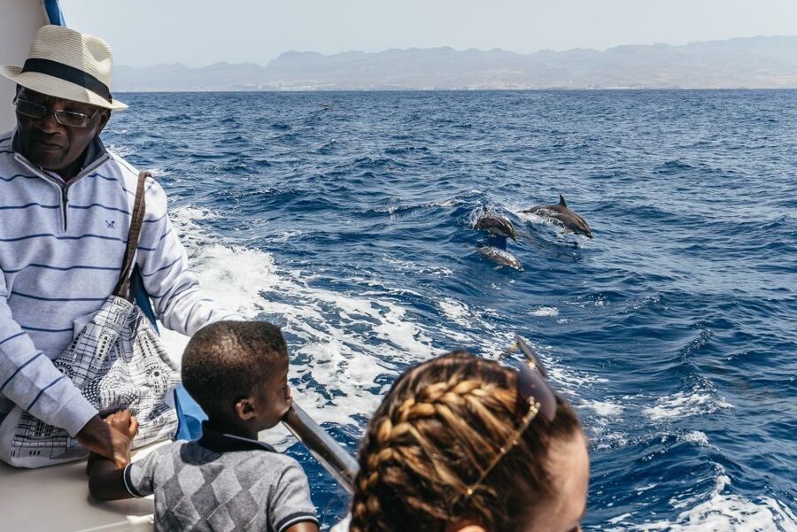 From Puerto Rico de Gran Canaria: Dolphin Watching Cruise - Booking details worth knowing
