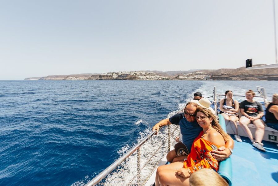 From Puerto Rico de Gran Canaria: Dolphin Watching Cruise - Dolphin sightings, whales, turtles, and patience