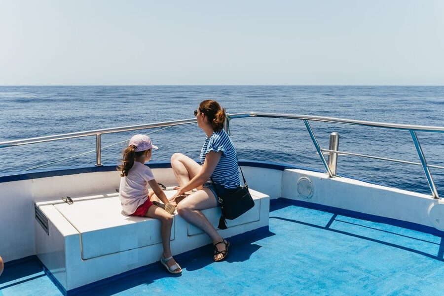 From Puerto Rico de Gran Canaria: Dolphin Watching Cruise - Rough seas and avoiding seasickness