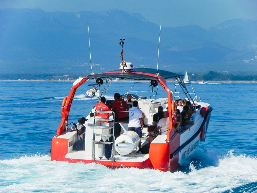 From Salou/Cambrils: Speedboat Tour - Key points before you book