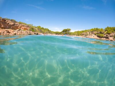 From Salou/Cambrils: Speedboat Tour