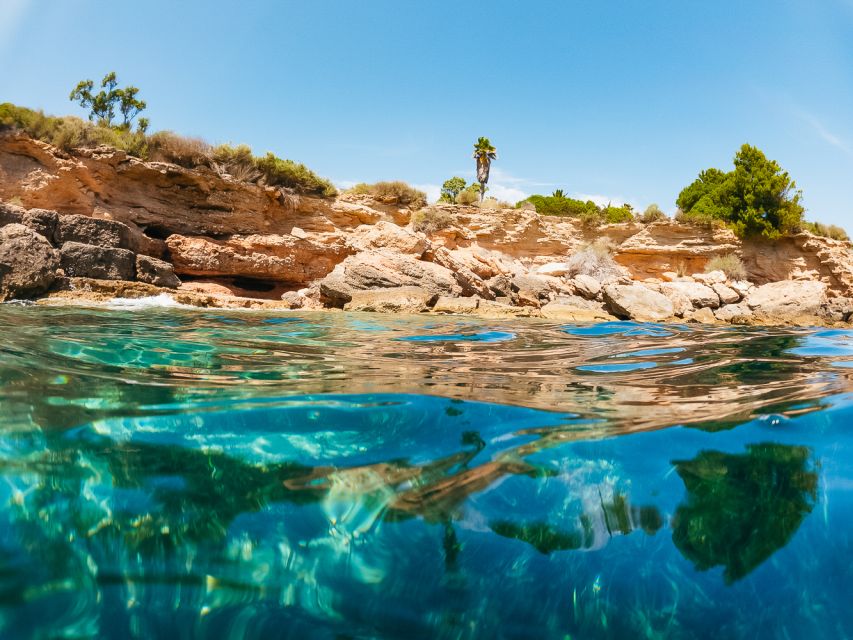 From Salou/Cambrils: Speedboat Tour - Who will enjoy this speedboat ride most?