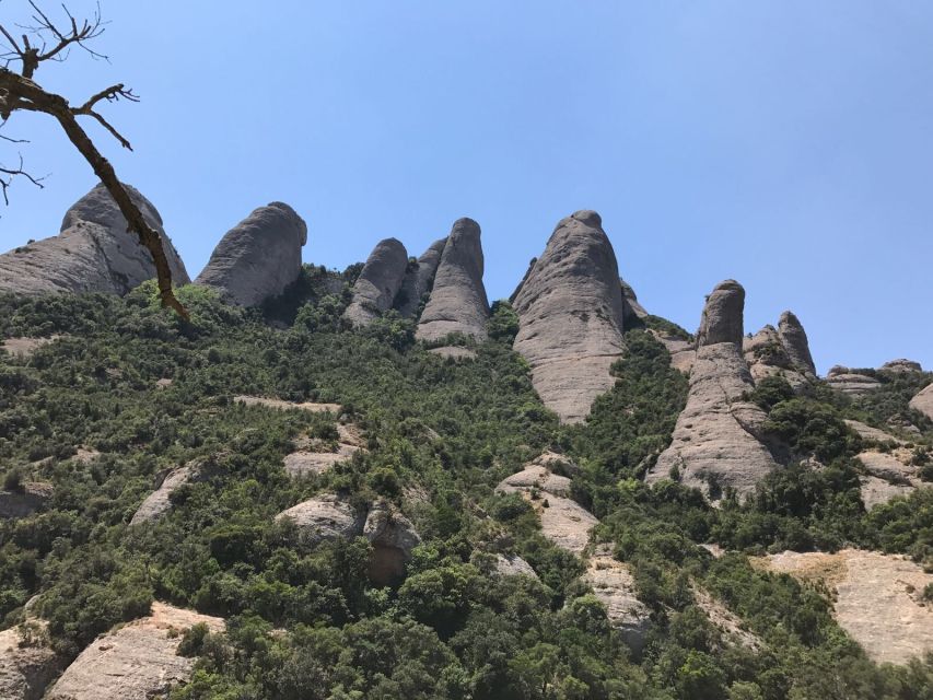 From Salou: Montserrat Monastery and Colonia Güell - Key points to know before booking