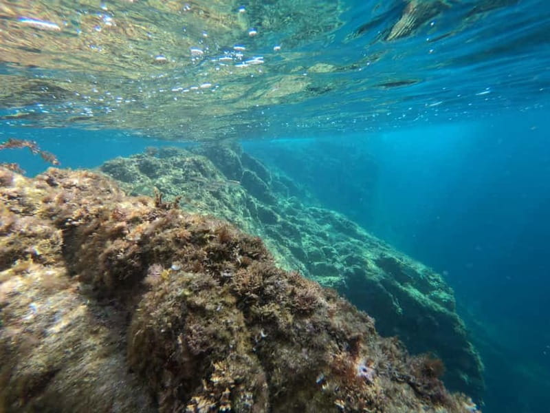 From Sant Feliu de Guíxols: Kayak and Snorkel in Costa Brava - Practical ways to enjoy the two hours
