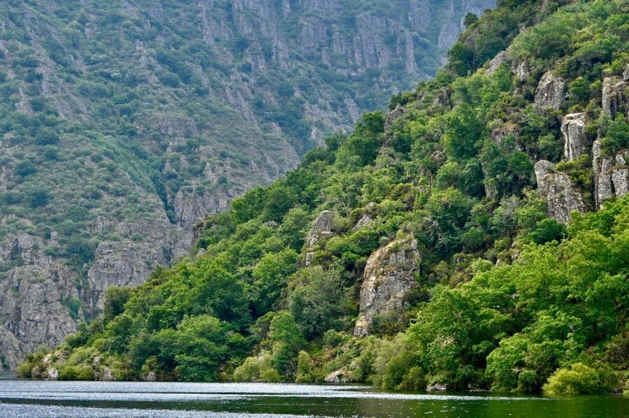 From Santiago: Excursion to Ribeira Sacra and Ourense - Lookout points for the wide view