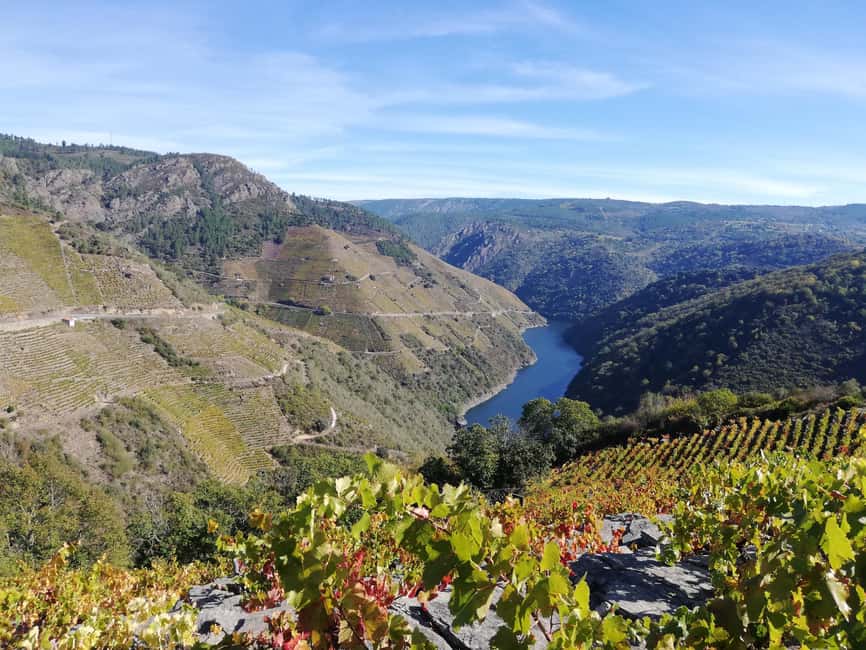 From Santiago: Excursion to Ribeira Sacra and Ourense - What the $68 price really covers