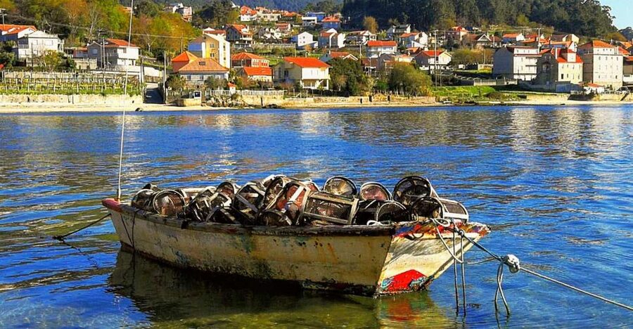 From Santiago: Rías Baixas Galicia Seafood & Wine Day Tour - Combarro’s stone lanes and seaside character