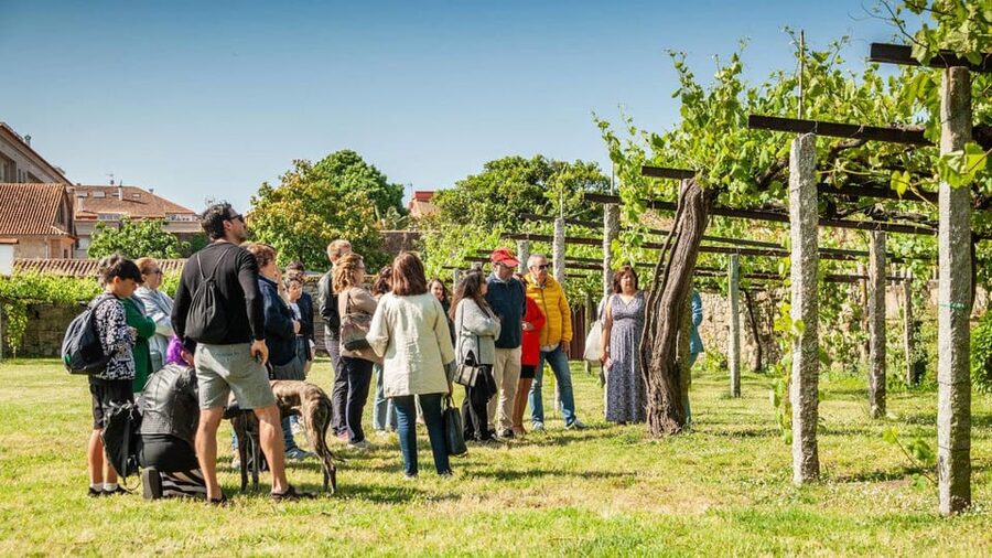 From Santiago: Tour to Rias Baixas with Boat Trip and Winery - La Lanzada, a short stop with a mystical past