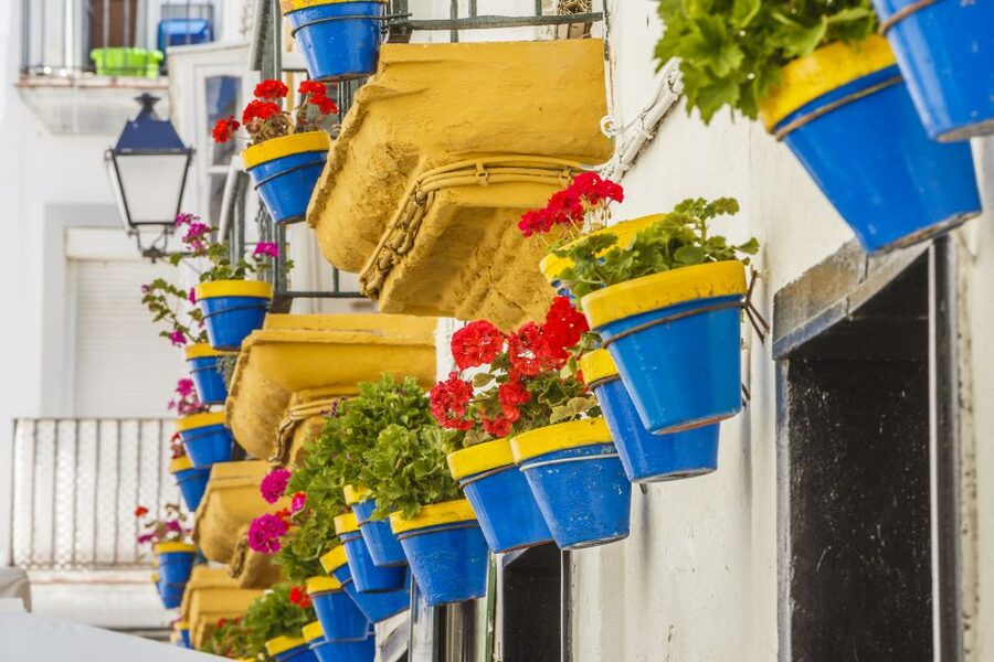 From Seville: Cadiz and Jerez de la Frontera Day Trip - Shared group or private experience?
