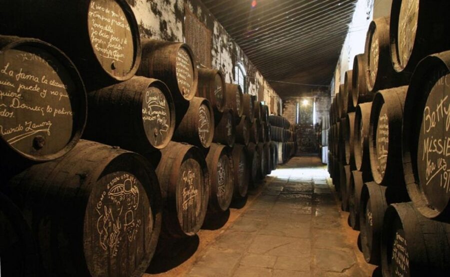 From Seville: Cadiz and Jerez de la Frontera Day Trip - A short walk through Jerez de la Frontera