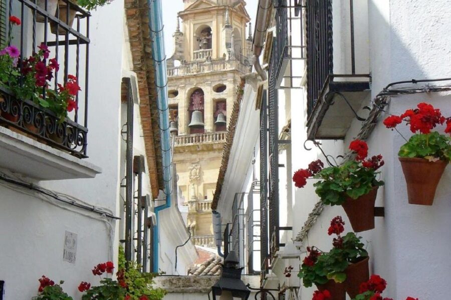 From Seville: Córdoba and Mosque Cathedral Full-Day Tour - The wait before the main monument