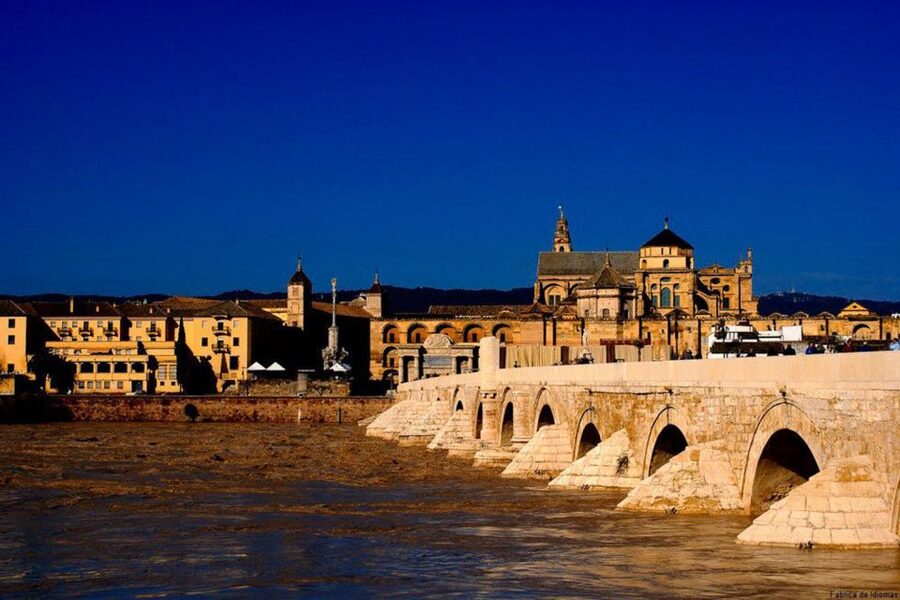 From Seville: Cordoba Full-Day Tour with Tickets Included - FAQ