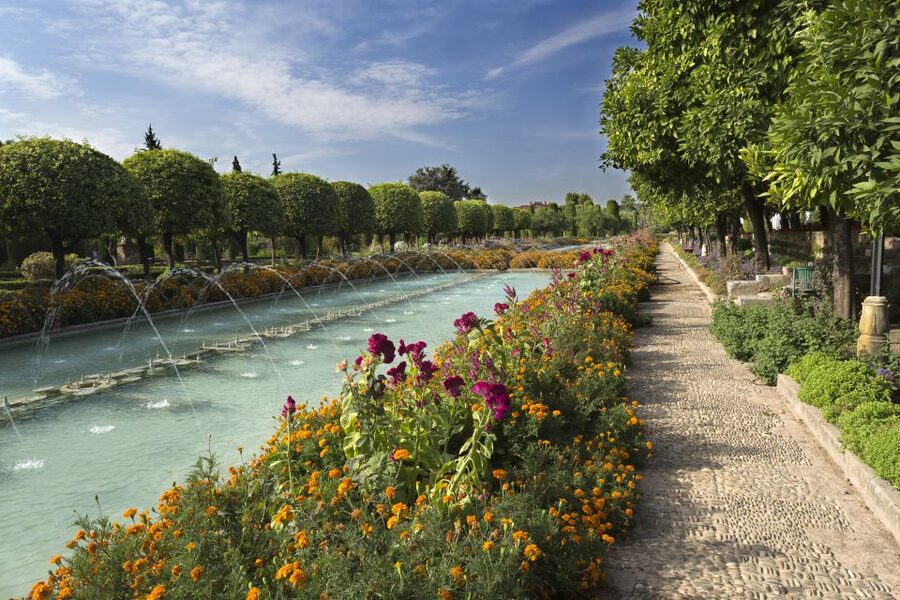 From Seville: Cordoba, the Mosque and Carmona Day Trip - Key points before you book