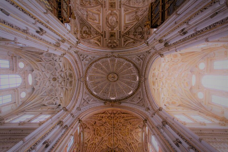 From Seville: Cordoba, the Mosque and Carmona Day Trip - Price and who gets good value