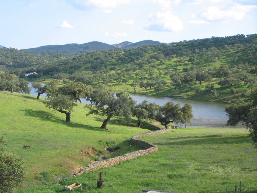 From Seville: Full-Day Aracena & Rio Tinto Mines Tour - Aracena, Lunch, and the Castle Hill