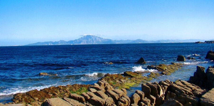 From Seville: Gibraltar Sightseeing Tour - The Rock, Punta de Europa, and the view toward Africa