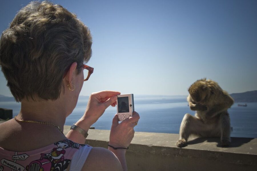 From Seville: Gibraltar Sightseeing Tour - San Miguel’s Cave is beautiful but brief