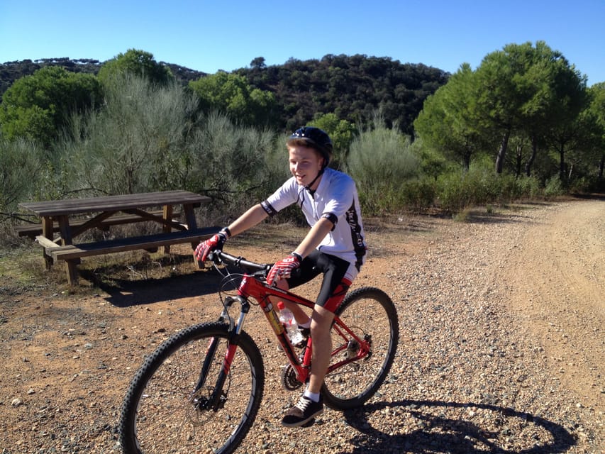 From Seville: Half-Day Guided Bike Trip to Italica - Mosaics, baths, and the scale of daily life