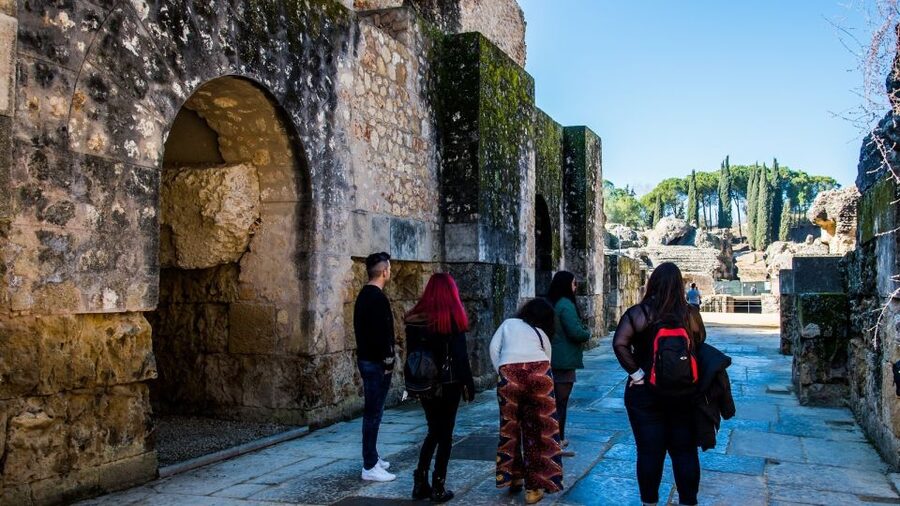 From Seville: Italica Roman City Tour - Who will enjoy this Italica tour most?