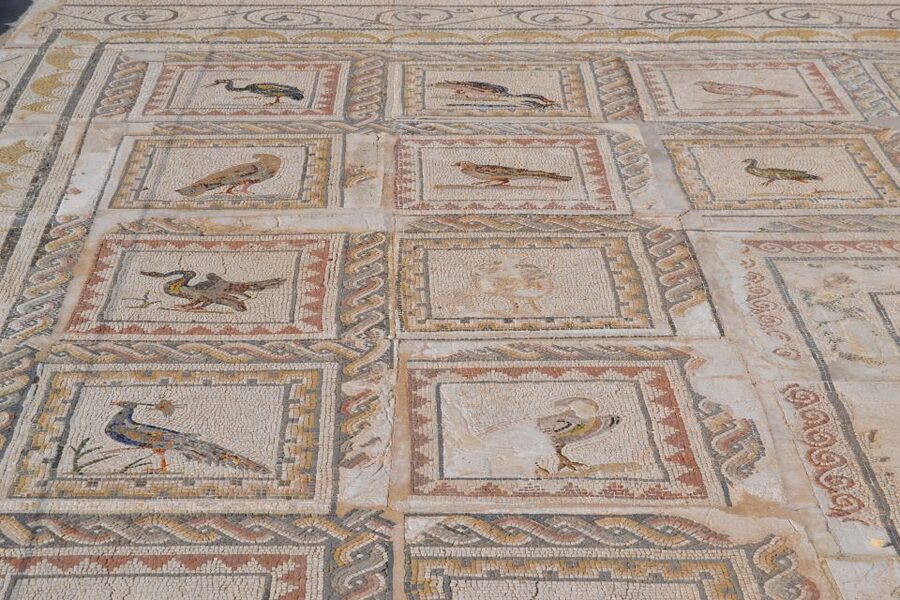 From Seville: Italica Roman City Tour - The Roman theater in Santiponce