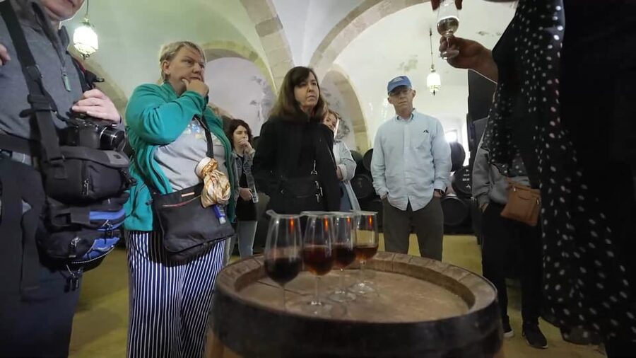 From Seville: Jerez, Cádiz and Andalusian Horses - Why this day trip works from Seville