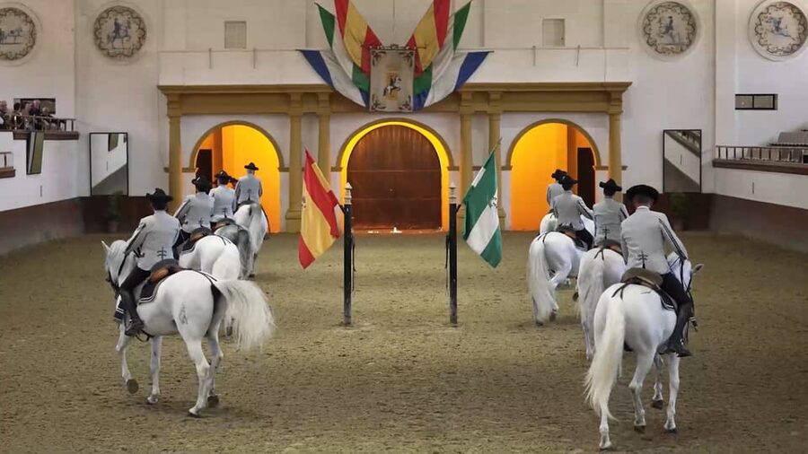 From Seville: Jerez, Cádiz and Andalusian Horses - The Royal Andalusian School of Equestrian Art