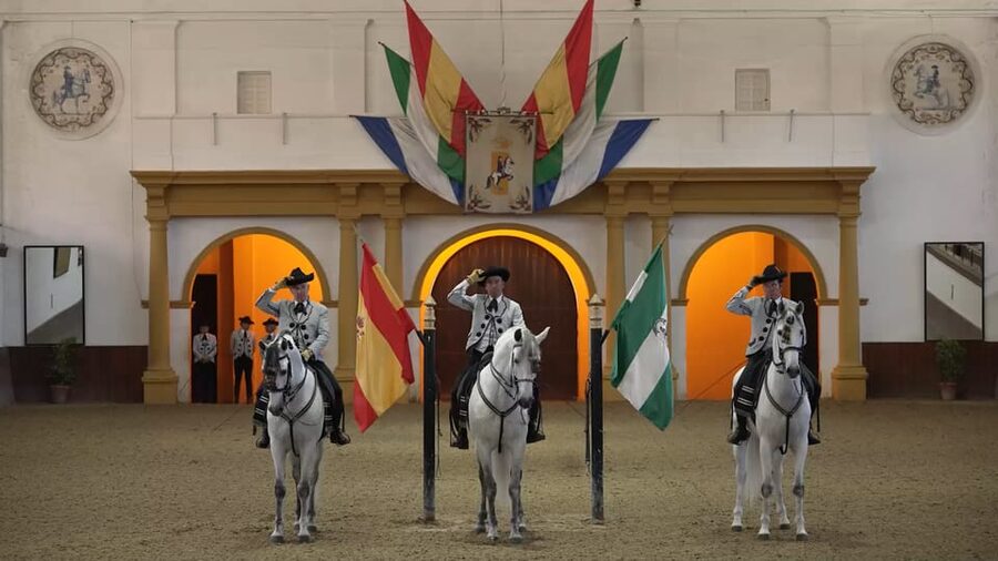 From Seville: Jerez, Cádiz and Andalusian Horses - Cádiz, the compact Atlantic finale