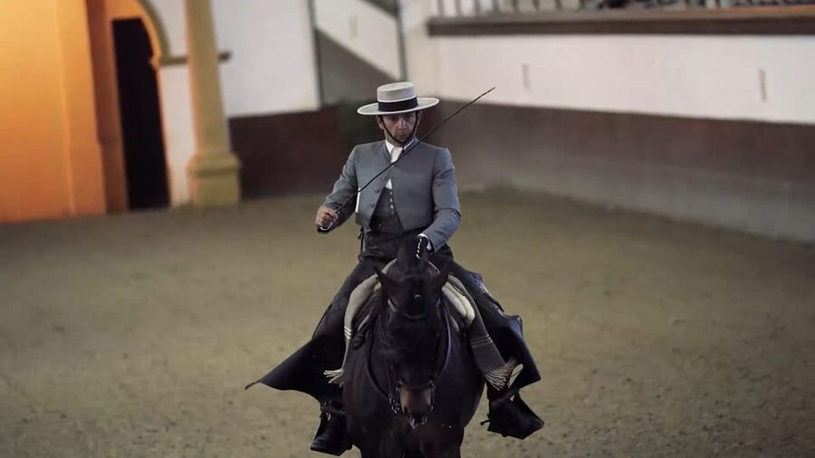 From Seville: Jerez, Cádiz and Andalusian Horses - Who should book this experience?