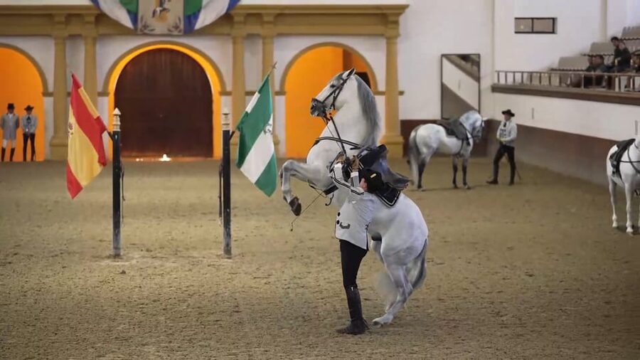 From Seville: Jerez, Cádiz and Andalusian Horses - Meeting your coach in central Seville