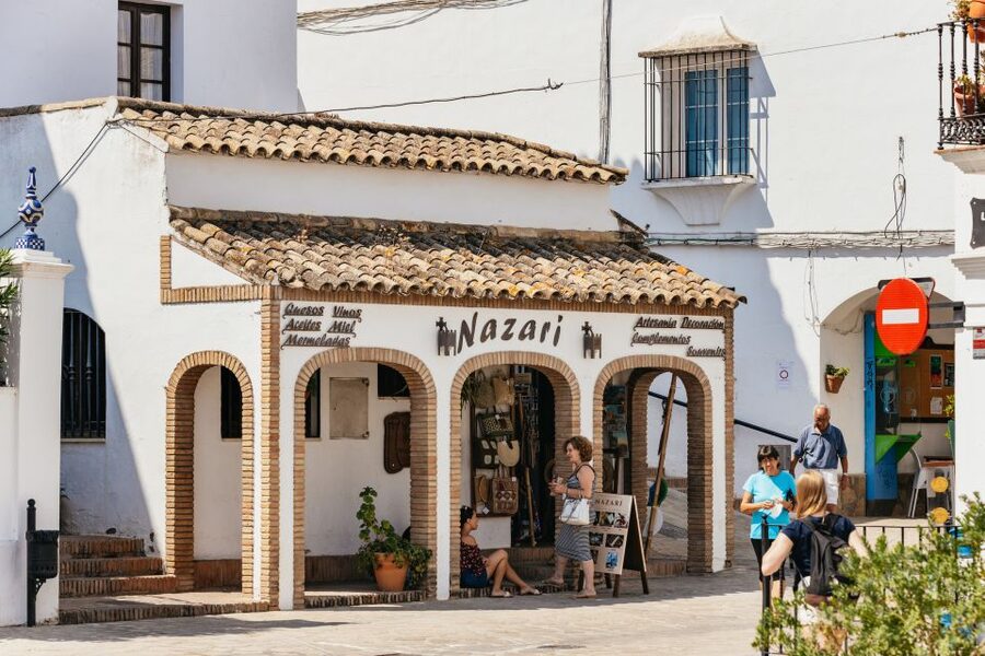 From Seville: Pueblos Blancos and Ronda Full-Day Trip - Guides, languages, and accessibility